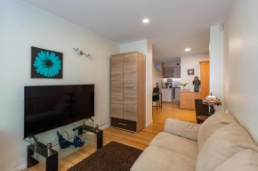 Stylish apartments near historical Kaunas cable-car